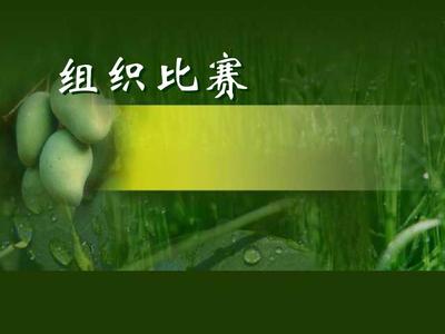 一年级下册组织比赛1北师版PPT